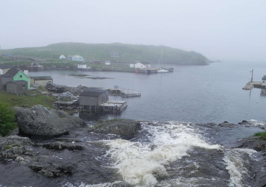 Newfoundland sailing story with a foggy harbor and rugged coastline