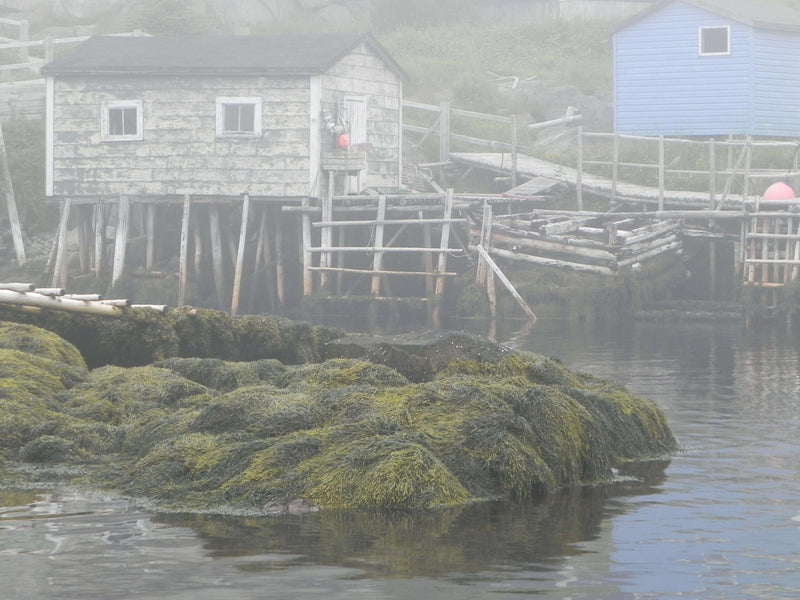 Saint-Pierre de retour au Canada