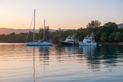 Sailboats and trawlers anchored in a quiet bay