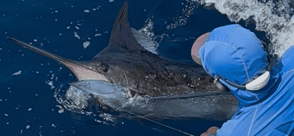 Boater wearing the Bosun Bluetooth headset fishing with his crew and  handling a large marlin on to their boat. This is a cruising solutions customer that sent their picture in so we could see the Bosuns in use. 