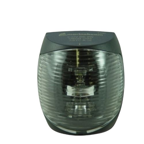 LED Mast-Mount Steaming Fixture Light