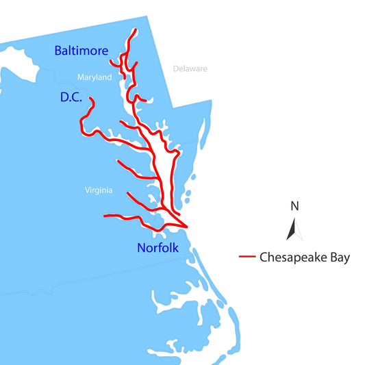Chesapeake Bay Quick Reference Cruising Guide product image 2