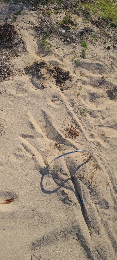mantus anchor above the sand