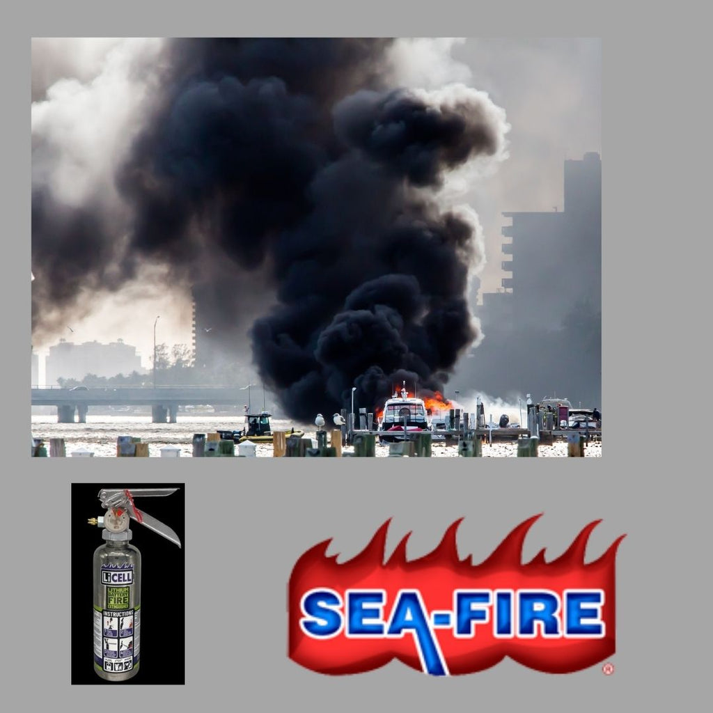 LiCELL - AH004 4L AVD - Lithium Battery Fire Extinguisher - Sea-Fire